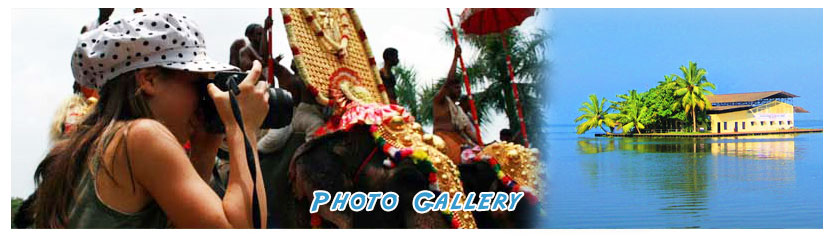 photo gallery