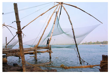 fishers in kochi