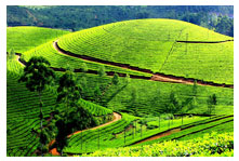 Alleppey houseboat packages