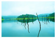 thekkady tours