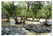 wayanad package
