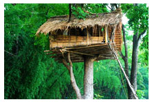 wayanad tours